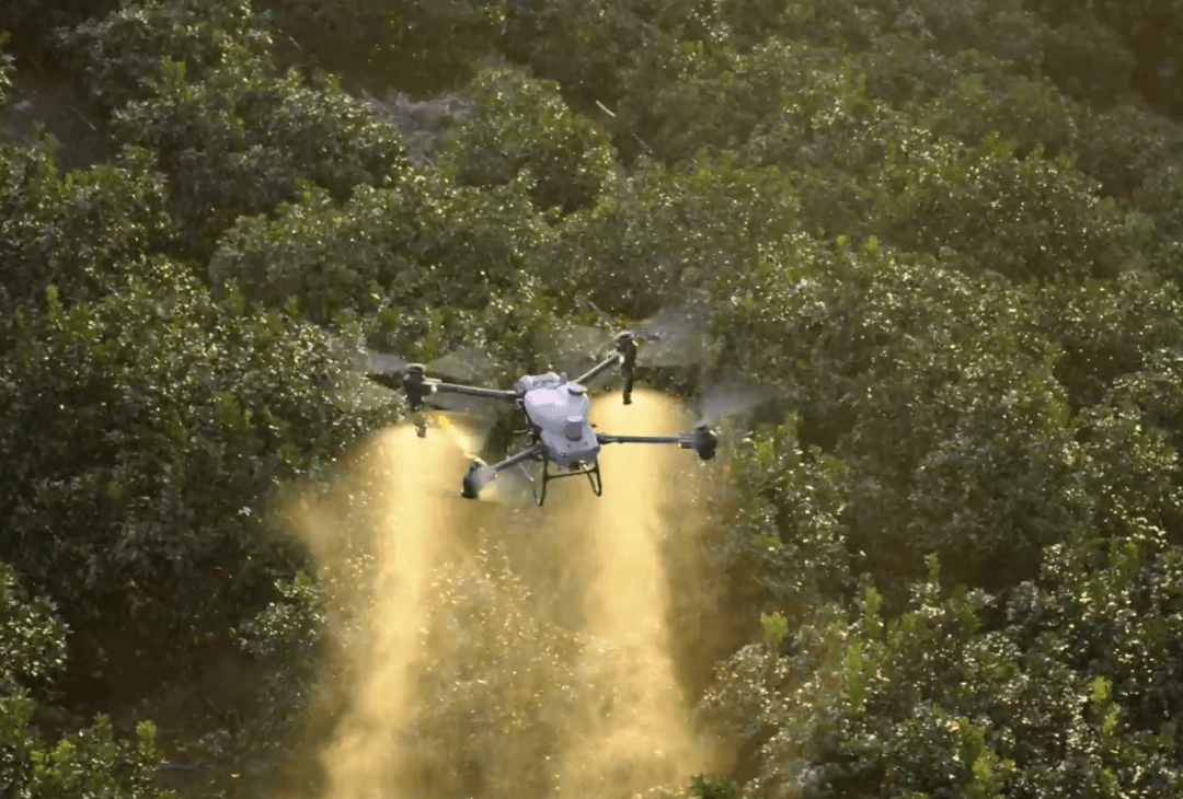 62999元！大疆发布T50、T25农业无人机，【航拍保】已全面承保！
