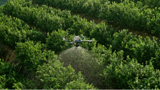 54999元起！大疆发布T60、T25P农业无人机，【航拍保】已全面承保！
